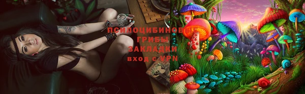 мефедрон Богородицк