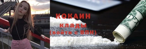 крисы Богородск