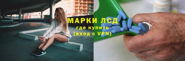 крисы Богородск