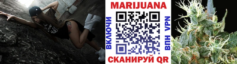 Конопля гибрид Камышин